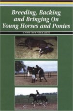 Breeding  Backing and Bringing on Young Horses and Ponies